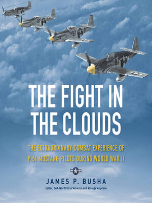 cover image of The Fight in the Clouds